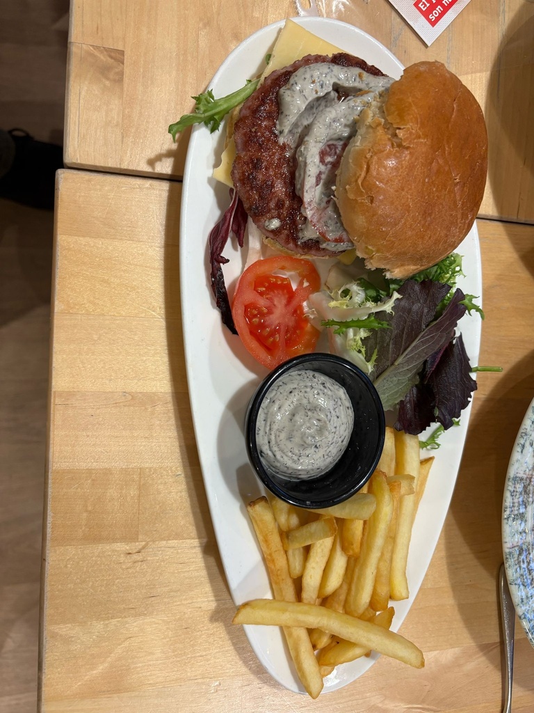 HAMBURGUESA SEMBRADOR